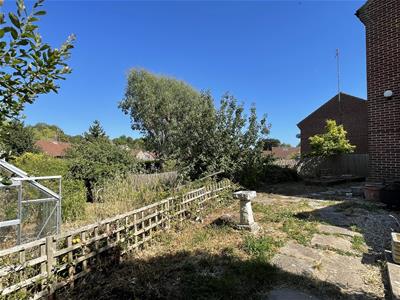 Picture 23